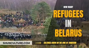 Belarus' Refugee Crisis: Counting the Displaced