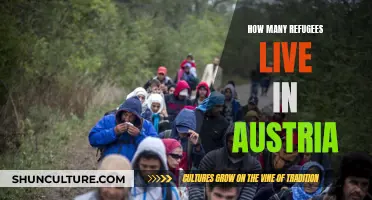 Austria's Refugee Population: A Comprehensive Overview