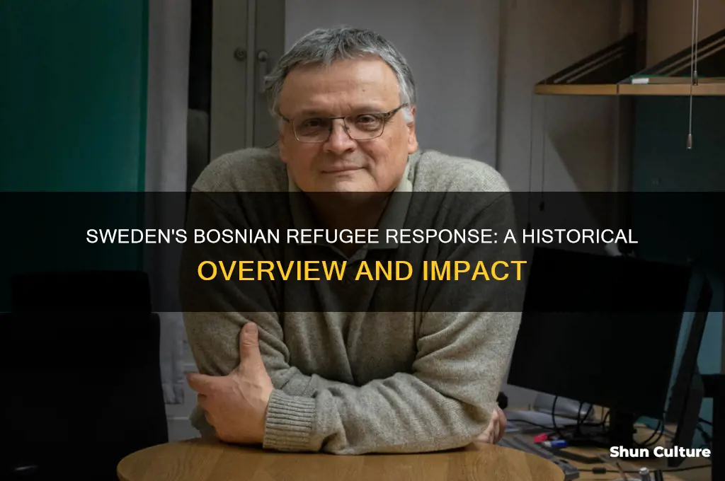 how many refugees sweden took from bosnia