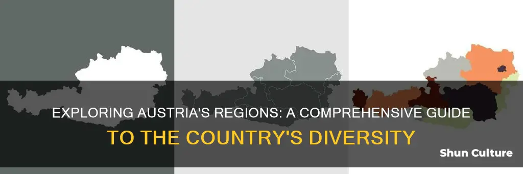 how many regions in austria