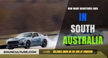 Exploring South Australia's Car Registrations