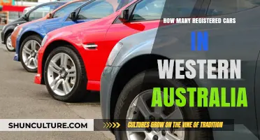 Cars in Western Australia: A Snapshot