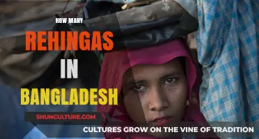 Exploring the Number of Rohingya Refugees Currently in Bangladesh