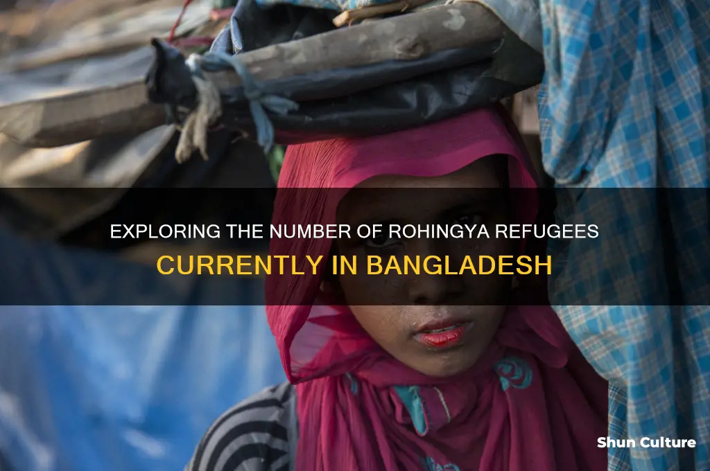how many rehingas in bangladesh