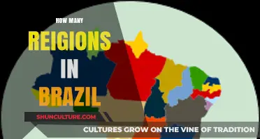 Exploring Brazil's Diverse Regions: A Comprehensive Guide to Its Territories