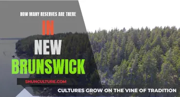 Reserves in New Brunswick: How Many?