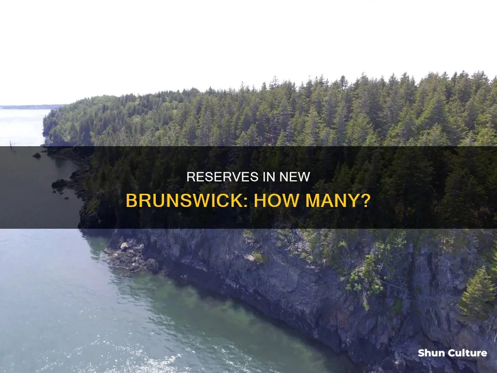 how many reserves are there in new brunswick