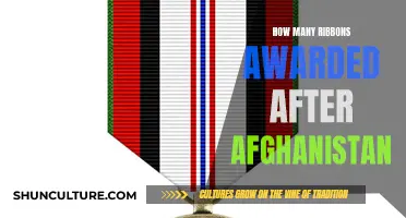 Honoring Sacrifice: Ribbons Awarded to Afghanistan Veterans