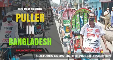 Exploring Bangladesh's Rickshaw Puller Population: Numbers and Insights