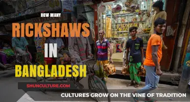 Exploring Bangladesh's Rickshaw Count: A Comprehensive Analysis