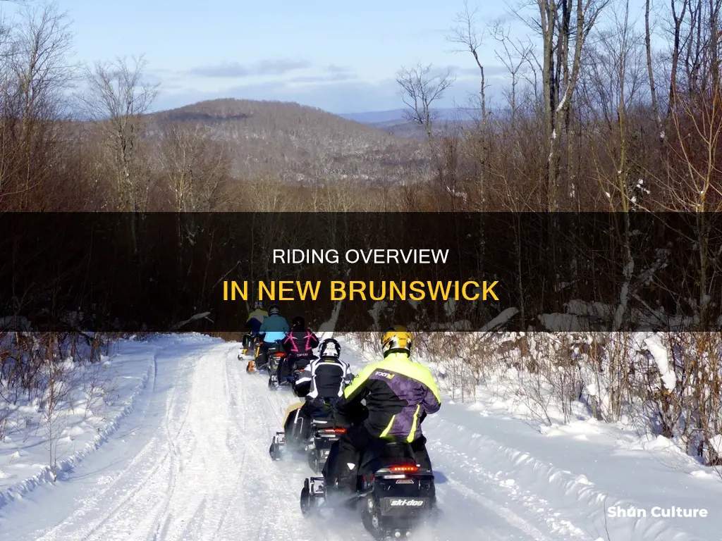 how many ridings in new brunswick