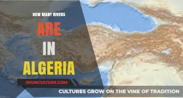 Exploring Algeria's River Network: A Comprehensive Count and Overview