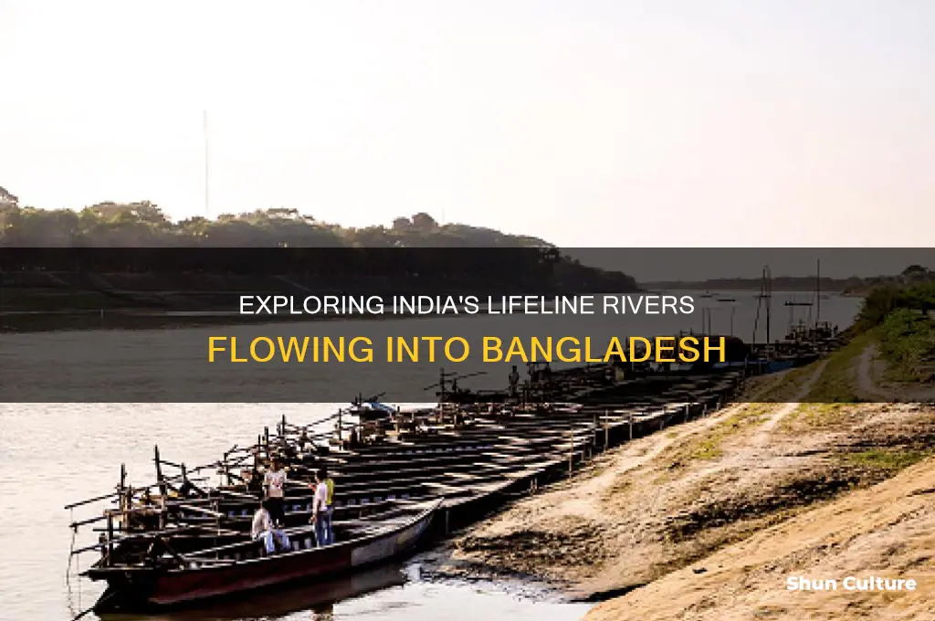 how many rivers flow from india to bangladesh