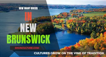 New Brunswick's Rivers: A Natural Wonder