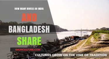 Shared Waters: Exploring India and Bangladesh's Transboundary River Networks