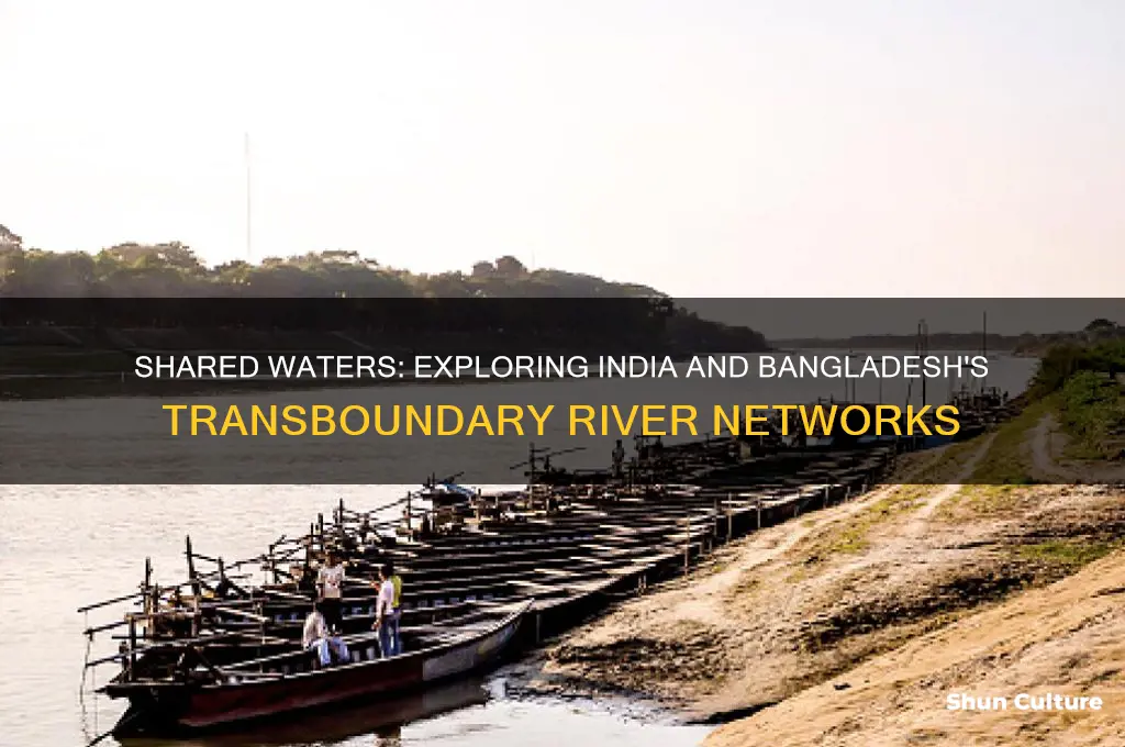 how many rivess do india and bangladesh share