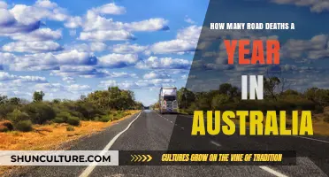 Australia's Road Fatalities: Annual Toll and Safety Measures