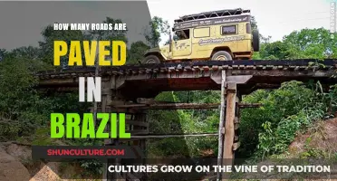 Exploring Brazil's Paved Road Network: Coverage, Challenges, and Progress