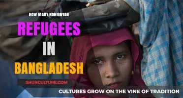 Rohingya Crisis: Counting Refugees in Bangladesh's Camps