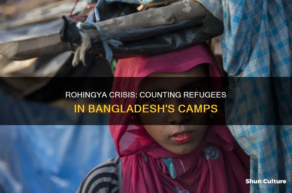 how many rohignyan refugees in bangladesh
