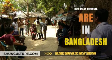Rohingya Crisis: Current Population and Impact in Bangladesh