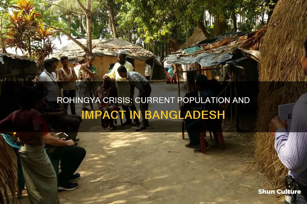how many rohingya are in bangladesh