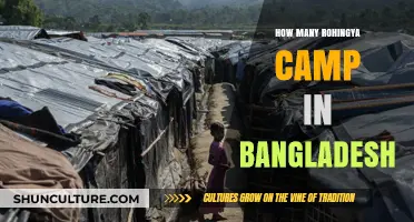 Exploring the Rohingya Refugee Camps in Bangladesh: A Comprehensive Overview