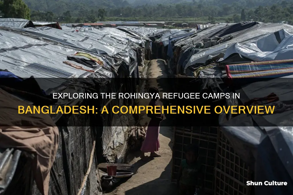 how many rohingya camp in bangladesh