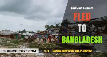 Rohingya Exodus: How Many Sought Refuge in Bangladesh?