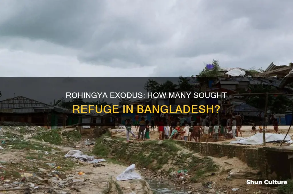 how many rohingya fled to bangladesh