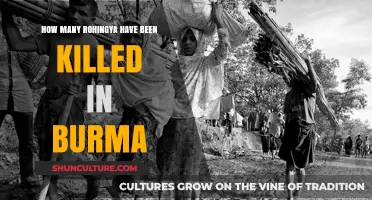Unveiling the Rohingya Tragedy: A Grim Toll in Burma