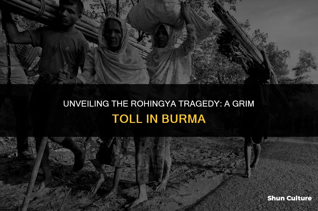 how many rohingya have been killed in burma