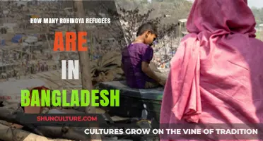 Rohingya Crisis: Current Refugee Population in Bangladesh Revealed