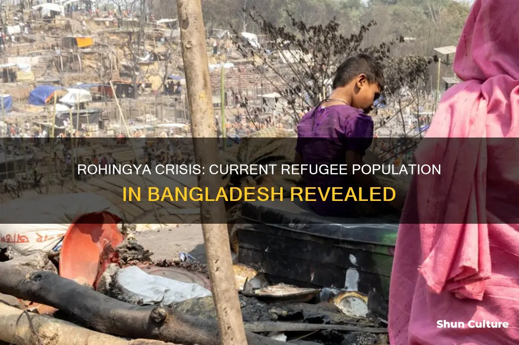 how many rohingya refugees are in bangladesh