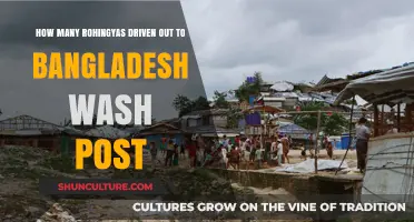 Rohingya Exodus to Bangladesh: Unraveling the Crisis and Its Impact