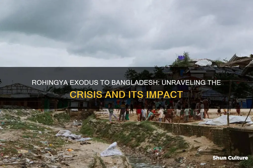 how many rohingyas driven out to bangladesh wash post