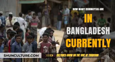 Current Rohingya Population in Bangladesh: A Comprehensive Overview
