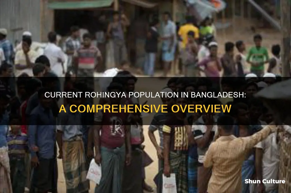 how many rohingytas are in bangladesh currently