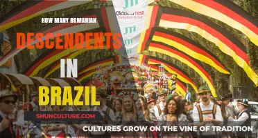 Exploring the Romanian Diaspora: Descendants in Brazil Unveiled