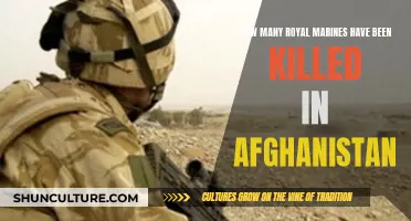 Royal Marine Casualties in Afghanistan: A Human Cost