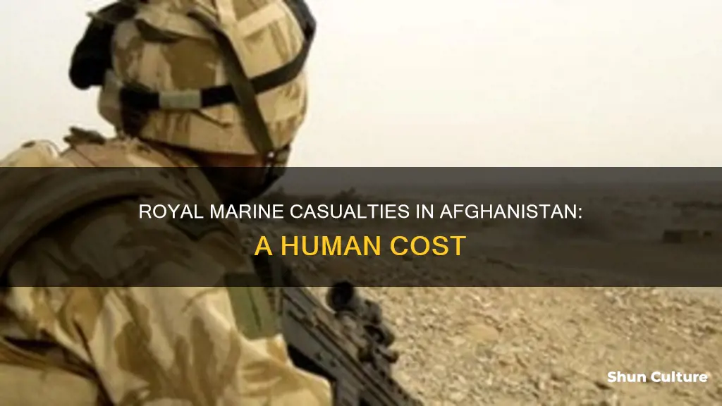 how many royal marines have been killed in afghanistan