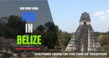 The Mystery of Belize's Ancient Ruins