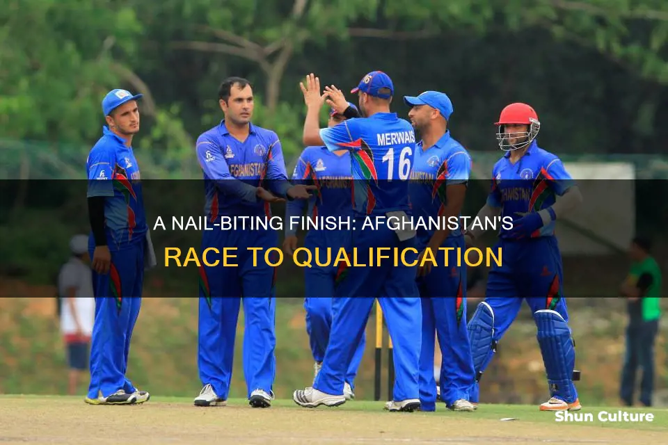 how many runs afghanistan need to qualify