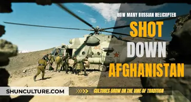 Downed Helicopters: Russia's Afghan Battle Wounds