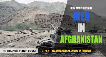 A Grim Toll: Afghan War Dead Haunt Russia