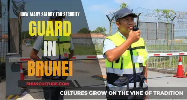 Lucrative Security Guard Salaries in Brunei: Know the Numbers