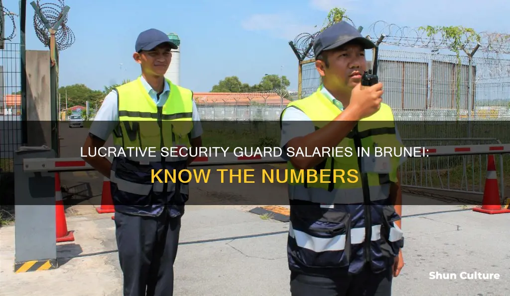 how many salary for security guard in brunei