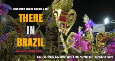 Exploring Brazil's Vibrant Samba Scene: Counting the Schools Nationwide