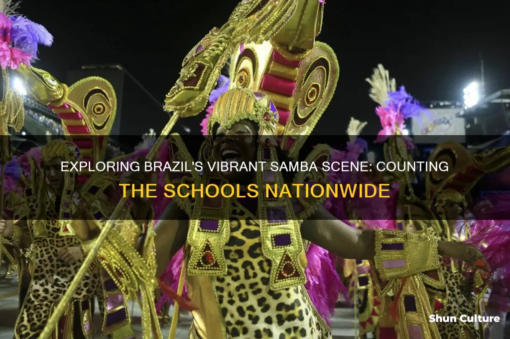 how many samba schools are there in brazil