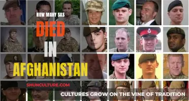 The Human Cost of War: Remembering SAS Lives Lost in Afghanistan